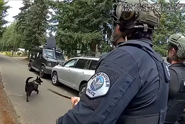 Washington police K-9 leaps into action after suspected impaired driver refuses to surrender