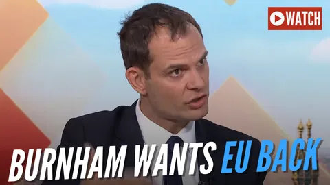 WATCH: EU Relations Minister Suggests Rejoining Could Be On Next Labour Manifesto