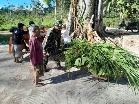Momen Haru TMMD Semarang: Anggota TNI Bantu Mbah Warno (82) Dorong Gerobak Rumput demi Sambung Hidup