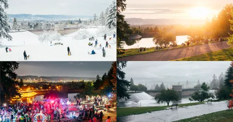 Photographer Has Been Shooting the Same Park in Portland for the Last Four Years