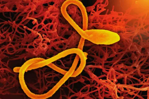 How worried should you be about Ebola?