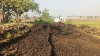 Sukses Budidaya Maggot dengan Manfaatkan Sampah MBG, Formagi Mulai Kembangkan Ternak Lele
