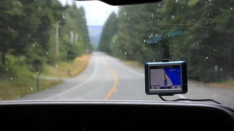 Count the dead bugs on your windshield and contribute to science