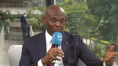 Chairman of United Bank for Africa: 'We need to fix our problems ourselves'