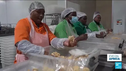 In Cape Town, women-led cookies business supply British Airways