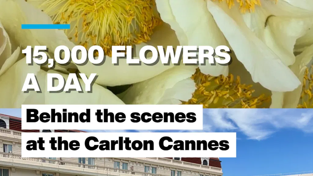 15,000 flowers a day: Behind the scenes at the Carlton Cannes