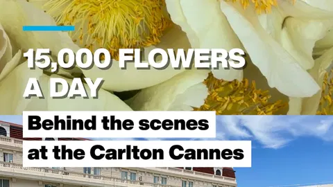 15,000 flowers a day: Behind the scenes at the Carlton Cannes