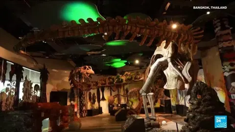 Scientists have identified a massive new dinosaur in Thailand