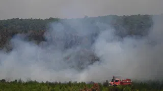 Live: Massive wildfire near Bordeaux 'remains stable' after calm night, local authorities say