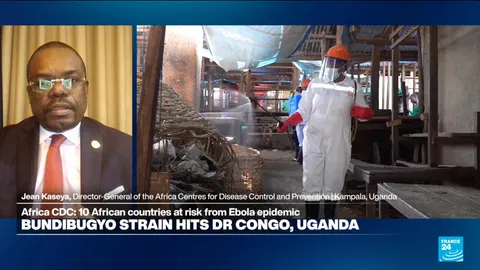 Ebola epidemic: Ten African countries at risk