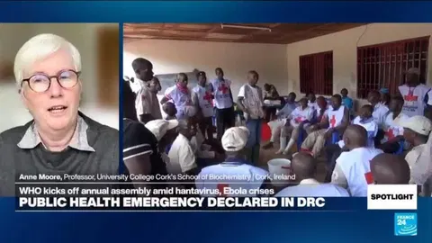 Damage control over prevention: International health system 'closing gaps instead pushing forward'