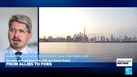‘Cold, pragmatic relationship’: UAE-Israel ties driven by defence and technology