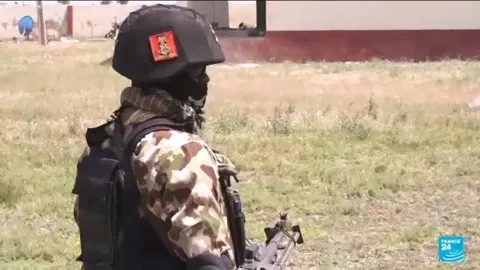 Joint US-Nigeria operation killed a senior militant leader of IS