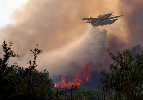 El incendio de Ávila arrasa 50.000 hectáreas y se convierte en el más devastador de la historia