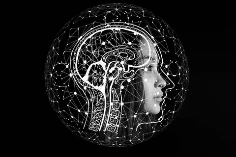 What are misfluencers and what can be done about false information online?