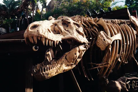 Why meat-eating dinosaurs like T. rex evolved tiny arms