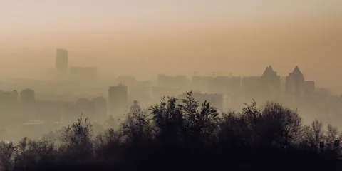 Climate change could significantly worsen summer air quality in future decades