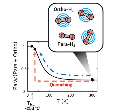 Catalysts that prevent boil-off losses in liquid hydrogen production hold promise for a hydrogen-energy society