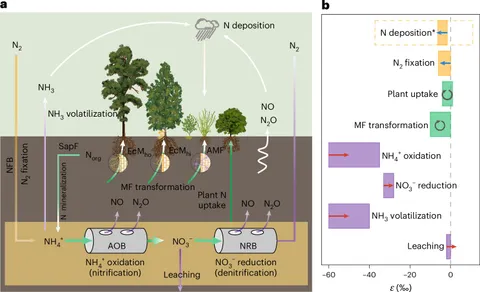Rainfall near 700 mm marks turning point in ecosystem nitrogen retention