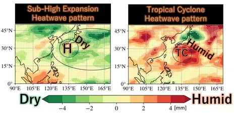 Tropical cyclones give rise to unique type of heat wave in Japan