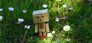 Metadata for AI Generated Outputs