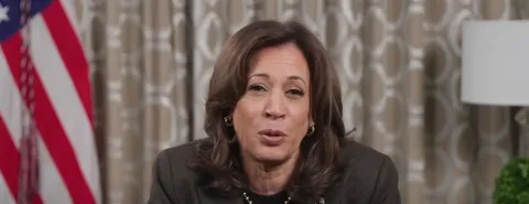 Let’s Remember the Democrats’ Lies