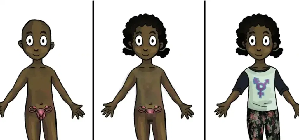 The Spectator P.M. Ep. 233: Transgender Dolls Are Being Introduced to Kids