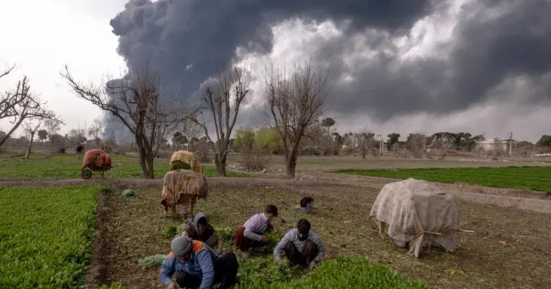 FAO warns Hormuz closure could trigger global food price crisis affecting 45 million people