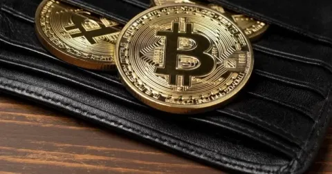 Bitcoin Standard Treasury Company aims to become the Berkshire Hathaway of crypto