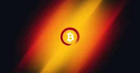 Bitcoin Japan buys stake in Elon Musk’s SpaceX via secondary market