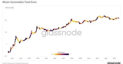Bitcoin whale and dolphin accumulation stalls, CryptoQuant warns of weakening demand