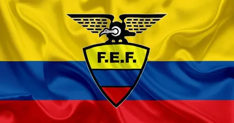 Ecuador and Sweden reach World Cup knockout stage, Scotland’s hopes fade