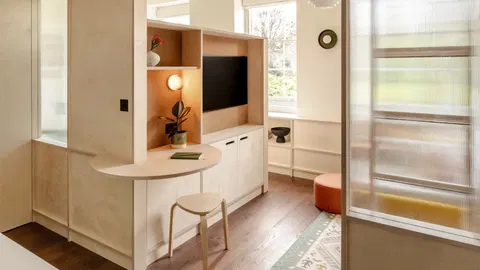 CIAO organises London micro flat around multifunctional plywood wall