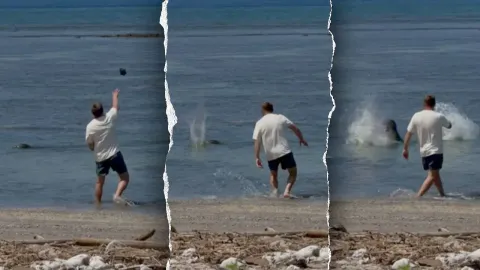 Suspect in viral monk seal harassment video says he was doxxed as federal court fight begins