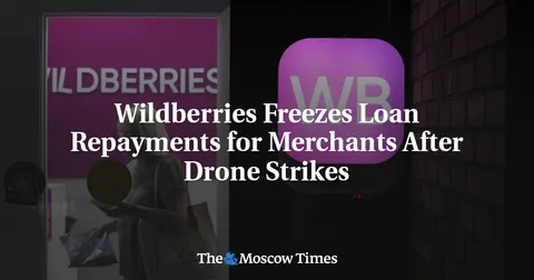 Wildberries Freezes Loan Repayments for Merchants After Drone Strikes