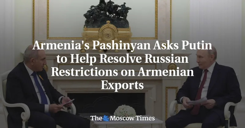 Armenia's Pashinyan Asks Putin to Help Resolve Russian Restrictions on Armenian Exports