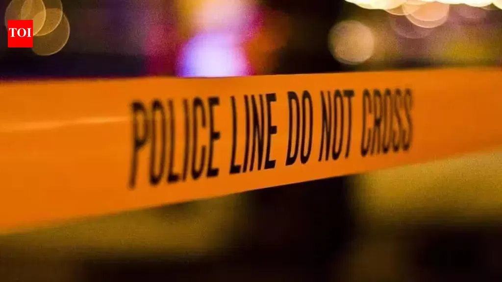 10, including minor, killed in armed attack in Mexico's Puebla state