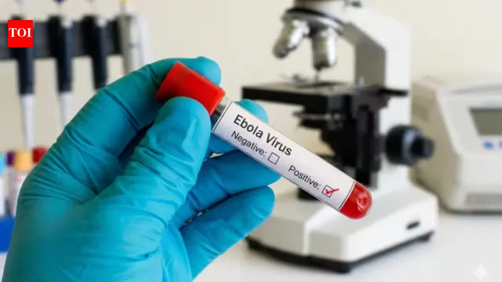 Ebola outbreak forces India to put off Africa summit