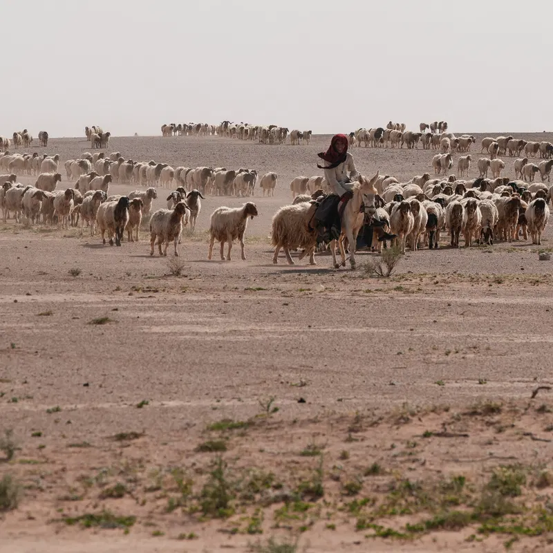 In Iraqi Desert, Two Israeli Outposts Were Kept Secret for Months