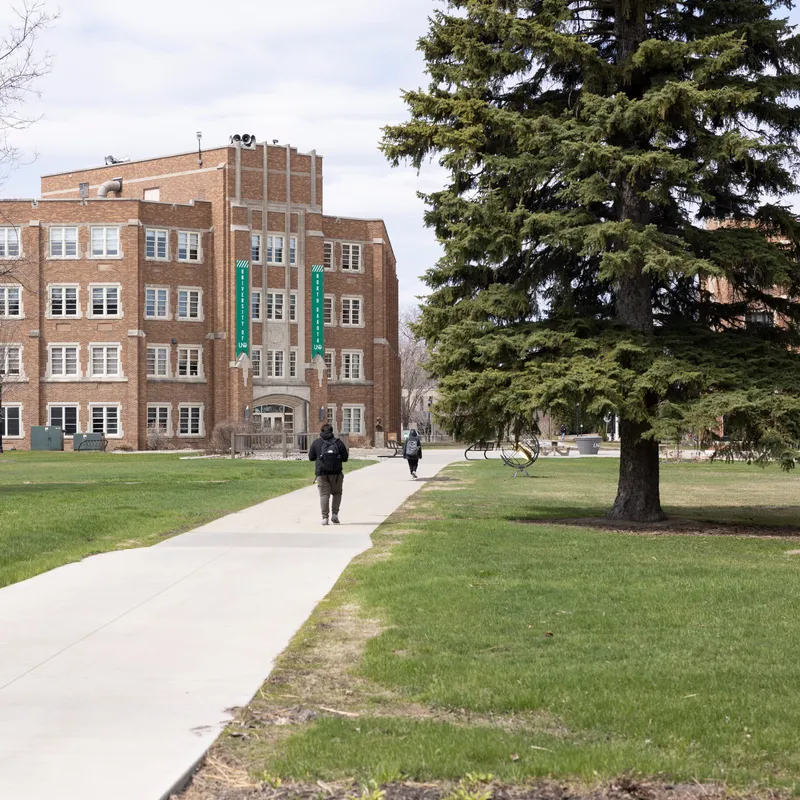 A.I. Degree Programs Surge as Colleges Seek Students and Relevance