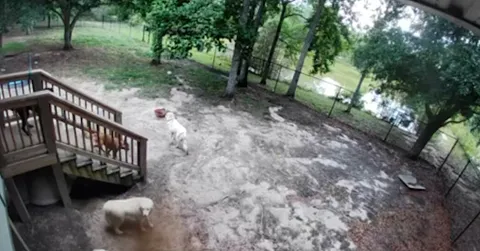 What Exactly Caused That Loud Boom in South Carolina?