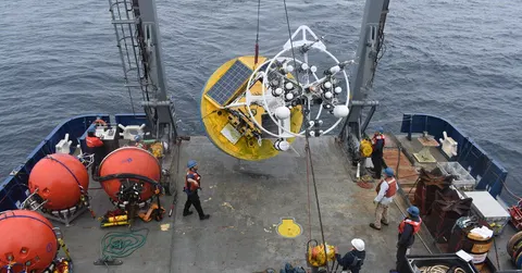 Democrats Pledge to Fight Trump’s Termination of Ocean Monitoring Observatories