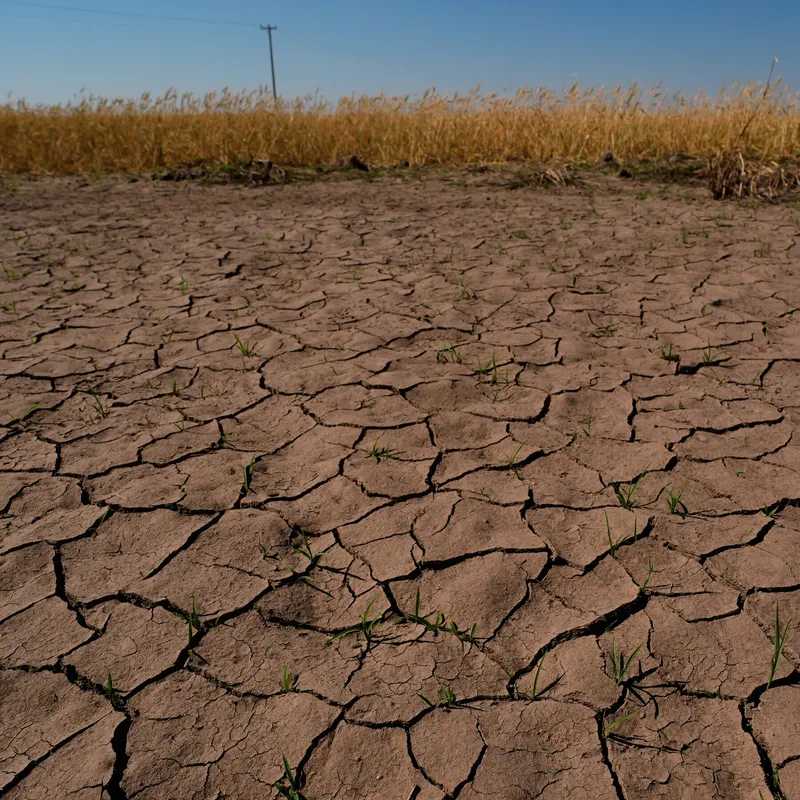 NOAA Issues El Nino Advisory