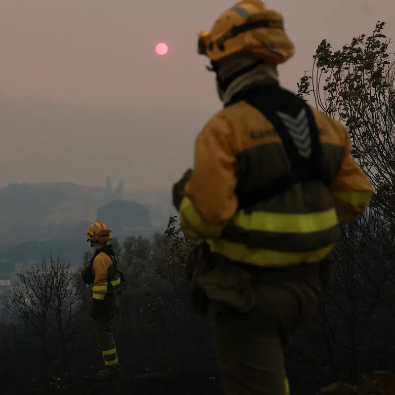 Conditions for European Wildfires Created by Summer of Extremes