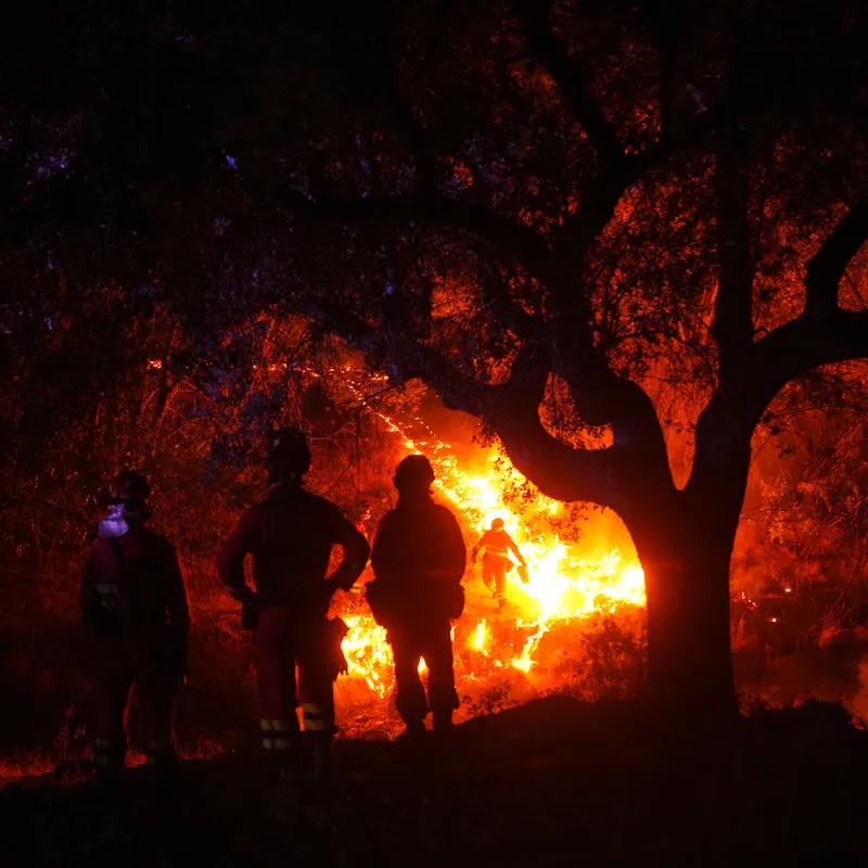 France and Spain Race to Contain Fires Before Some Areas Reach 104 Degrees