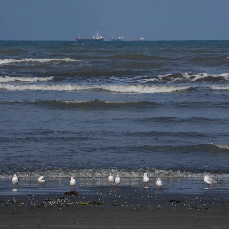 Ukraine’s Strike on an Iranian Ship Could Bring Two Wars Closer
