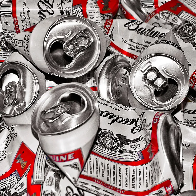An Alaskan Pilot. A Six-Pack of Beer. An Important Supreme Court Precedent.