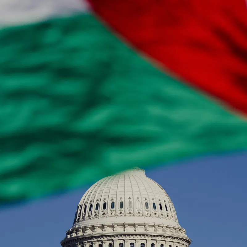 The Democrats’ Policy on Palestine Is Detached From Reality