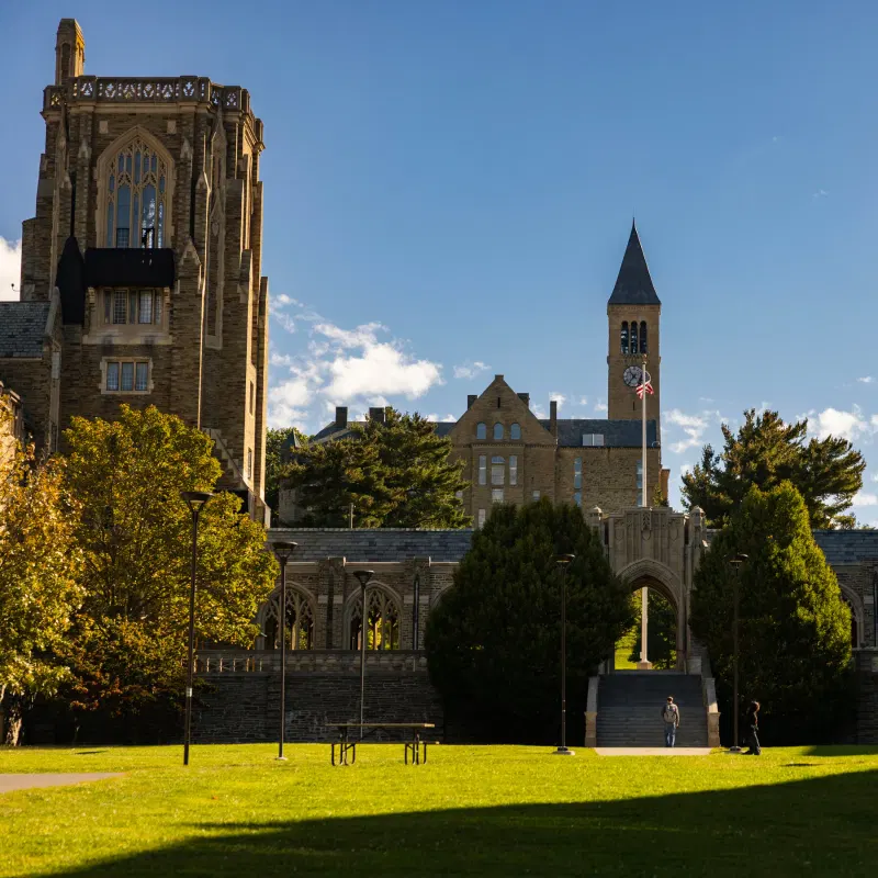 The Crisis Playbook for Universities in Trouble
