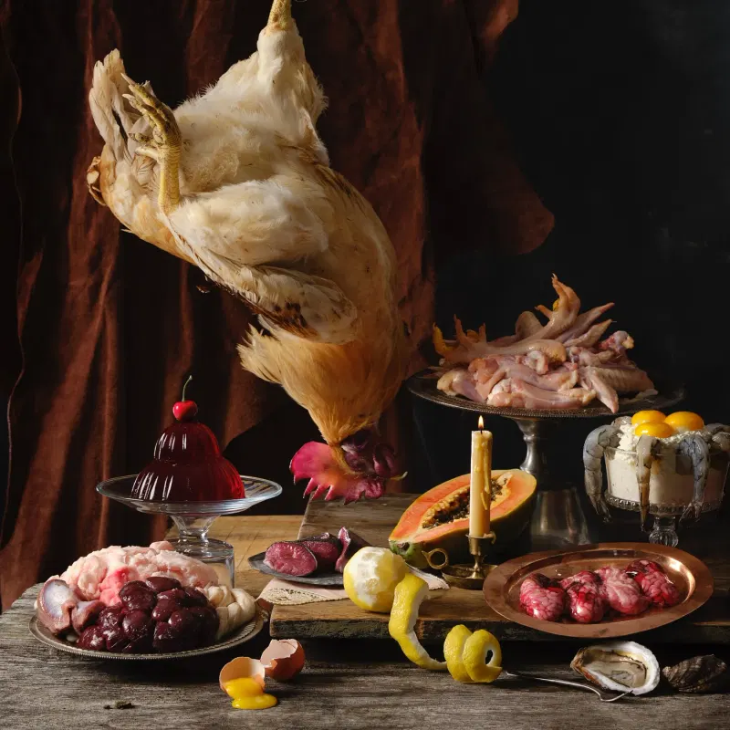 The Proponents of ‘Dark Nutrition’ Think Everything You Know About Food Is Wrong